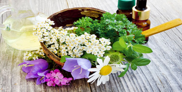 Effective Natural Remedies For Hyperactivity - Eight Calming Herbs